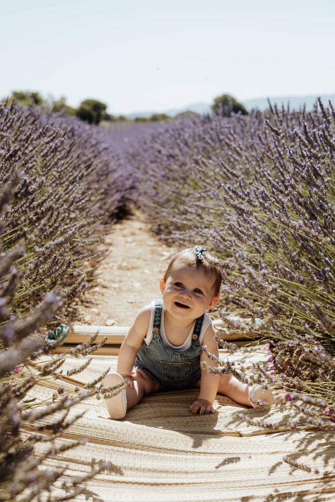 portrait bébé dans les lavandes