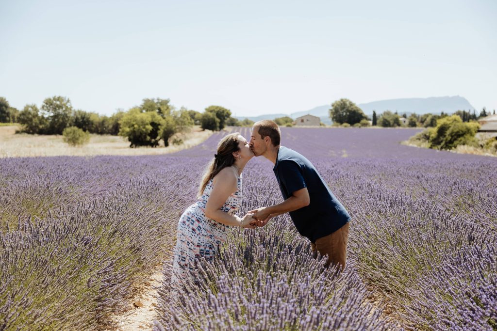 seance photo dans les champs de lavandes
