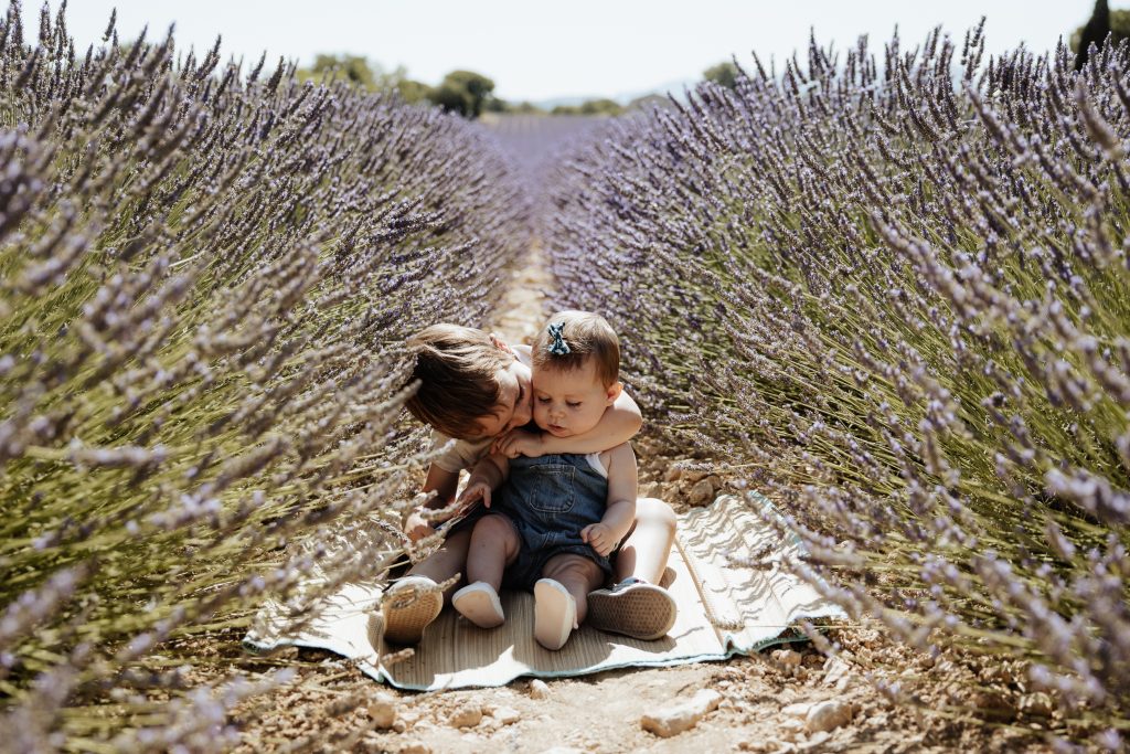 date de floraison lavandes provence